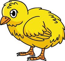 Chick Animal Cartoon Colored Clipart Illustration vector