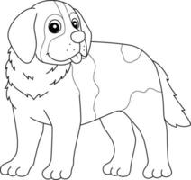 Saint Bernard Dog Isolated Coloring Page for Kids vector