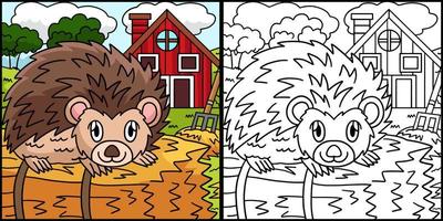 Hedgehog Coloring Page Colored Illustration vector