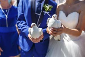 white wedding doves in the hands of the newlyweds photo