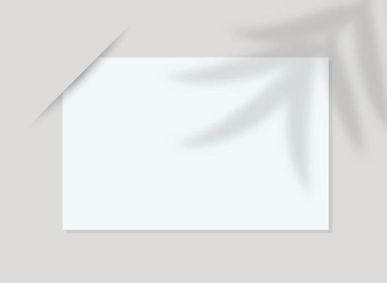 Photo Frames In Paper With White Background Design, Blank Photo Frames With Text Space,  And Free Mockup File Download.