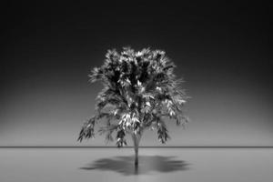 3d illustration of realistic silvr decorative tree isolated on monochrome background. Stylized deciduous tree photo