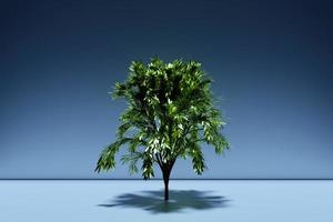 3d illustration of realistic green decorative tree isolated on  blue background. Stylized deciduous tree photo