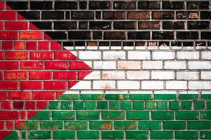 National  flag of the Palestine  on a grunge brick background. photo