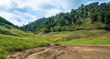 The group of traveler tracking into the Chong Lom Valley in the nationtion park of Nakorn Nayok, Thailand. photo