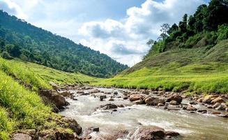 The scenic view of  Chong lom valley, Fresh and abundant in the national park a famous tourist attraction at Khun Dan Prakan Chon Dam, Nakorn Nayok province, Thailand photo