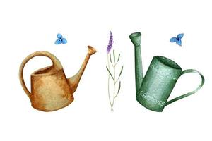 Garden watering can set and sprigs of lavender watercolor drawing isolated on white background. vector