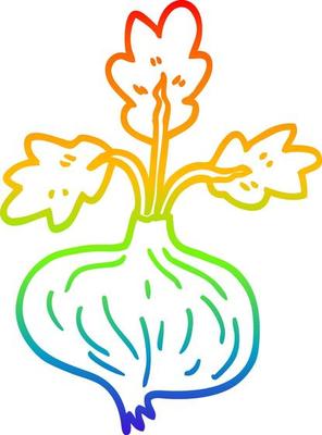rainbow gradient line drawing cartoon old onion