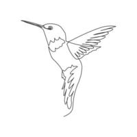 ilustración de vector de colibrí dibujada en estilo de arte de línea