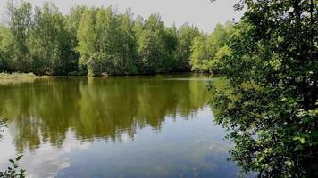 oever van het meer, rivieren in de zomer, zomerlandschap video