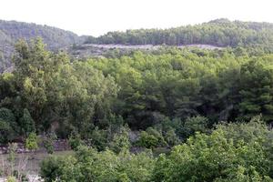 Landscape in the mountains in northern Israel photo