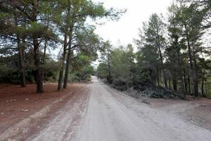Asphalt highway across Israel from north to south. photo