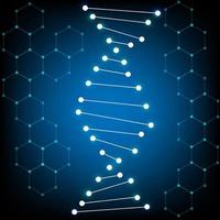 DNA structure chromosomes concept vector.education for chemistry science and future technology vector