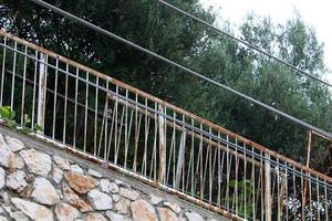 Plants and flowers grow along the high fence. photo