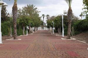 Road for walking in the city park. photo