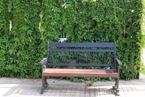 banco para descansar en el parque de la ciudad a orillas del mar. foto