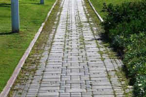 camino para caminar en el parque de la ciudad. foto