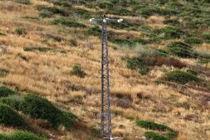 Electrical wires carrying high voltage current. photo