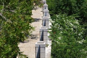 Plants and flowers grow along the high fence. photo