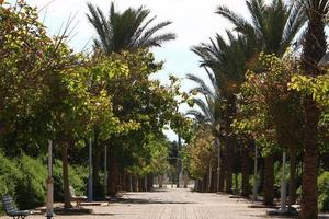 Road for walking in the city park. photo