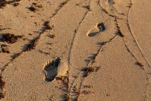 Footprints in the sand on the city beach. photo