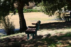 banco en un parque de la ciudad en la costa mediterránea foto