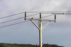 Electric pole and wires carrying high voltage current photo