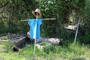 A hat is a headdress that protects from the hot sun. photo