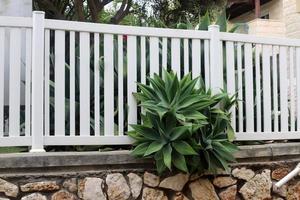 Plants and flowers grow along the high fence. photo