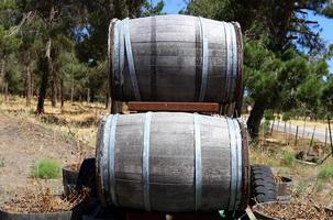 How to use an old barrel on the farm. photo