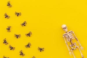 Halloween minimal decorations, composition with many black spiders and skeleton isolated on yellow background. Halloween celebration trick or treat concept. Flat lay top view copy space. photo