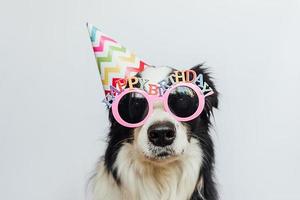 Happy Birthday party concept. Funny cute puppy dog border collie wearing birthday silly hat and eyeglasses isolated on white background. Pet dog on Birthday day. photo