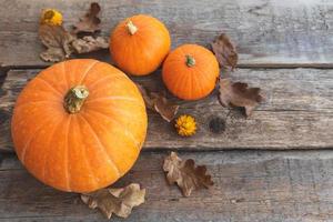 Autumnal Background. Natural autumn fall view pumpkins on wooden background. Inspirational october or september wallpaper. Change of seasons ripe organic food concept, Halloween party Thanksgiving day photo