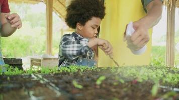 African American farmer father teaches son to plant a seedling in a vegetable gardening nursery plot for nature ecology learning, organic gardener family, happy together with childhood agriculture. video