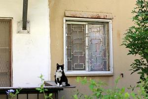 September 9, 2019. A window on the facade of a residential building in the city of Tel Aviv in Israel. photo