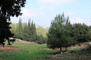 Landscape in the mountains in northern Israel photo
