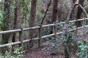 Fencing in a city park on the Mediterranean coast photo