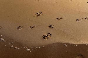 Footprints in the sand on the city beach. photo