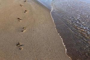 Footprints in the sand on the city beach. photo