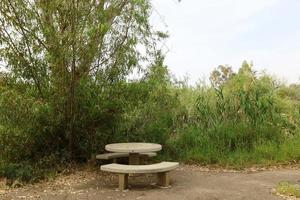 Bench in a city park on the Mediterranean coast photo