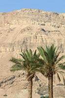 el desierto de judea en el medio oriente, ubicado en el territorio de israel y la orilla oeste del río jordan. foto