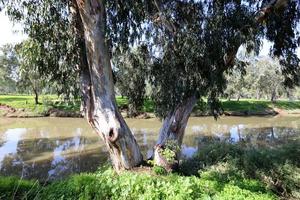 The Yarkon river in the city park in Tel Aviv. photo