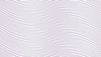 linhas de onda paralela violeta lenta animação fluindo em fundo branco isolado. design de cenário de filmagem de movimento dinâmico. evoca emoções e sentimentos positivos, calmos, de apaziguamento. video