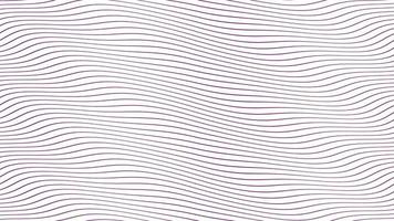 lignes d'ondes parallèles lilas lente animation fluide sur fond blanc isolé. conception de fond de séquences de mouvement dynamique. évoque des émotions et des sentiments positifs, de calme, d'apaisement. video