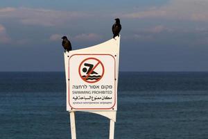 Road signs and signs in Israel. photo