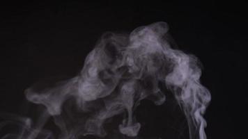 Slow motion of white smoke, fog, mist, vapor on a black background. video