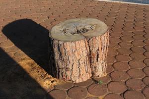 Texture of wood and wood products. photo