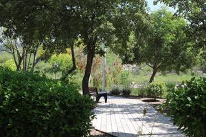 camino para caminar en el parque de la ciudad. foto