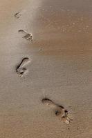 Footprints in the sand on the city beach. photo