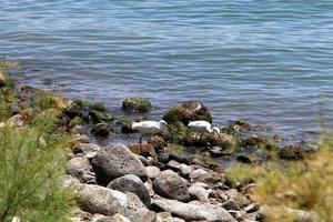 Lake Kinneret is a freshwater lake in northeastern Israel. photo